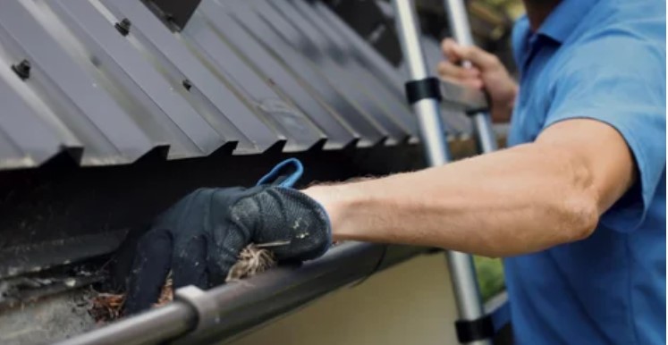 Professional gutter cleaning service: Clearing roof gutters from a ladder